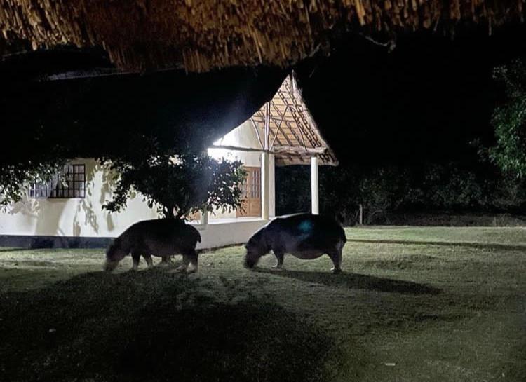 Marula Lodge Mfuwe Exterior photo